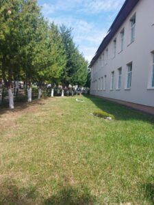 WhatsApp Image 2024-11-11 at 17.23.33