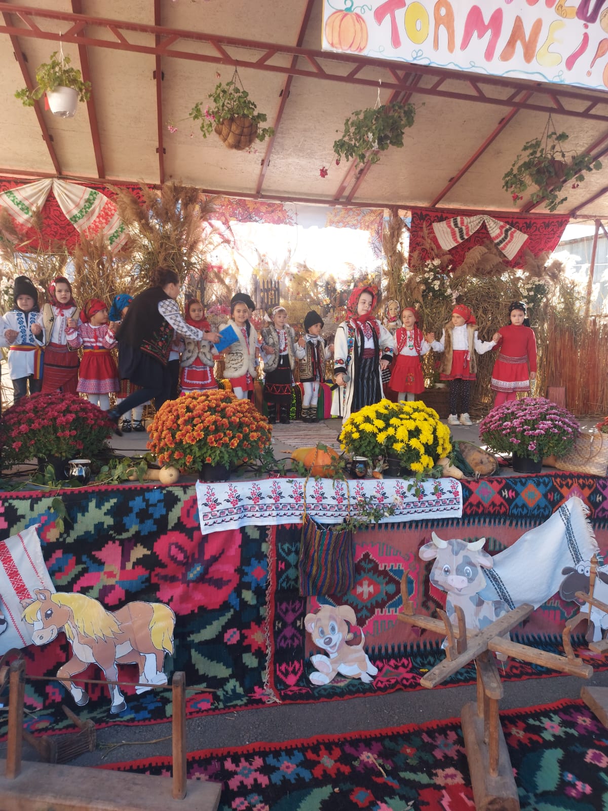 WhatsApp Image 2024-11-11 at 17.28.06